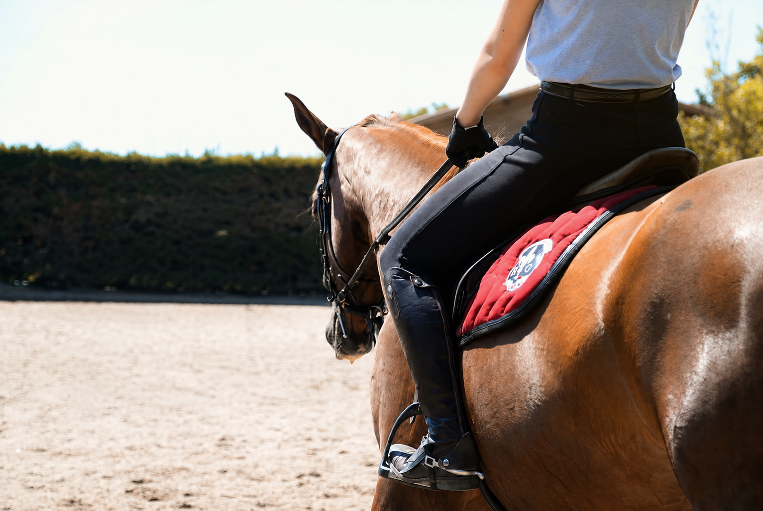 Cavalière avec un cheval